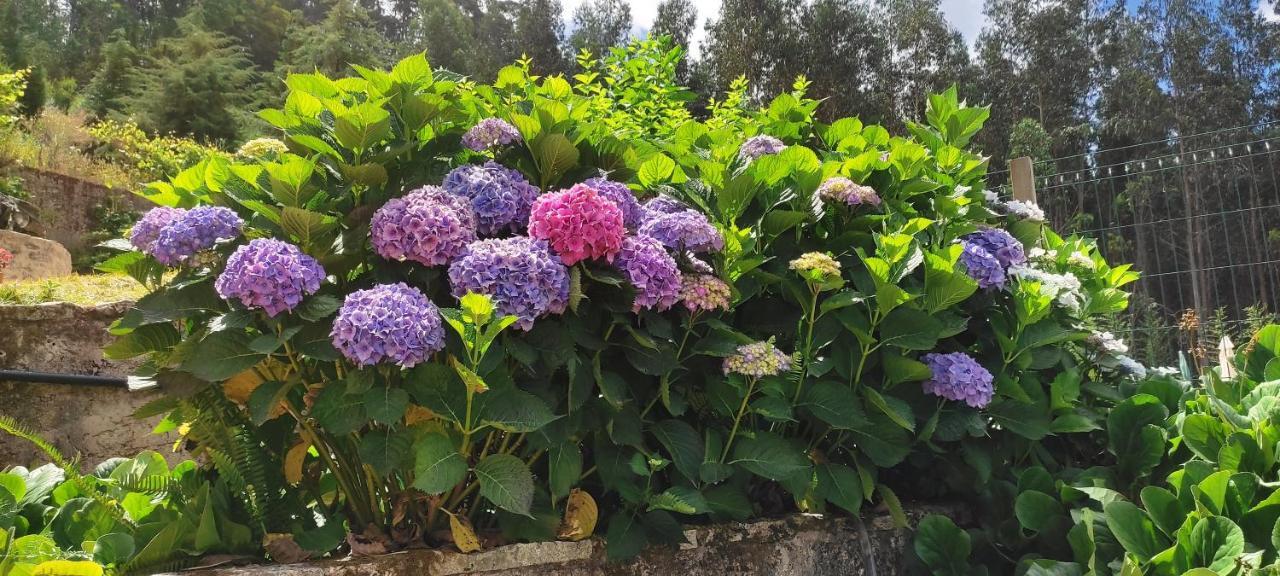 Quinta Da Costeira Villa เซฟเวร์ ดู โววกา ภายนอก รูปภาพ